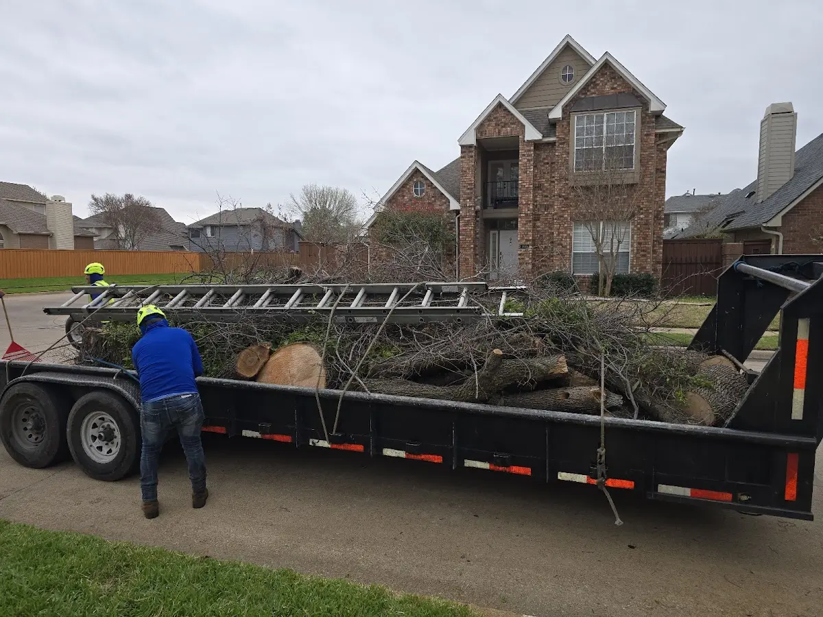 Expert Lot Clearing with proper safety equipment in Johnsburg